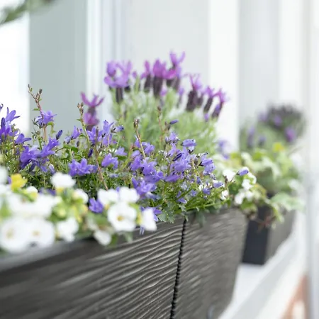 Гостевой дом Le Vivier Quevauvillers