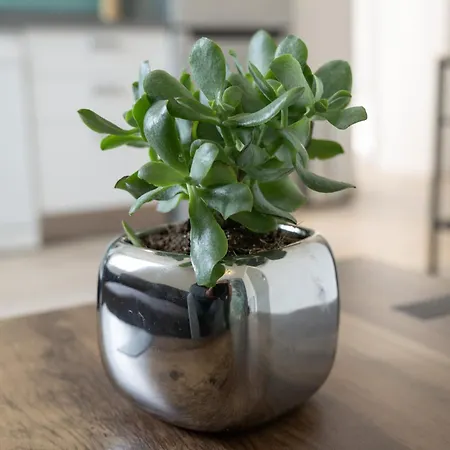 Le Vivier Гостевой дом *